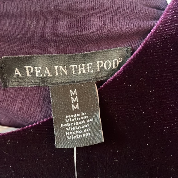 A Pea in the Pod Lace Trim Velvet Dress in Pretty Plum Size:M NWT - Picture 4 of 5